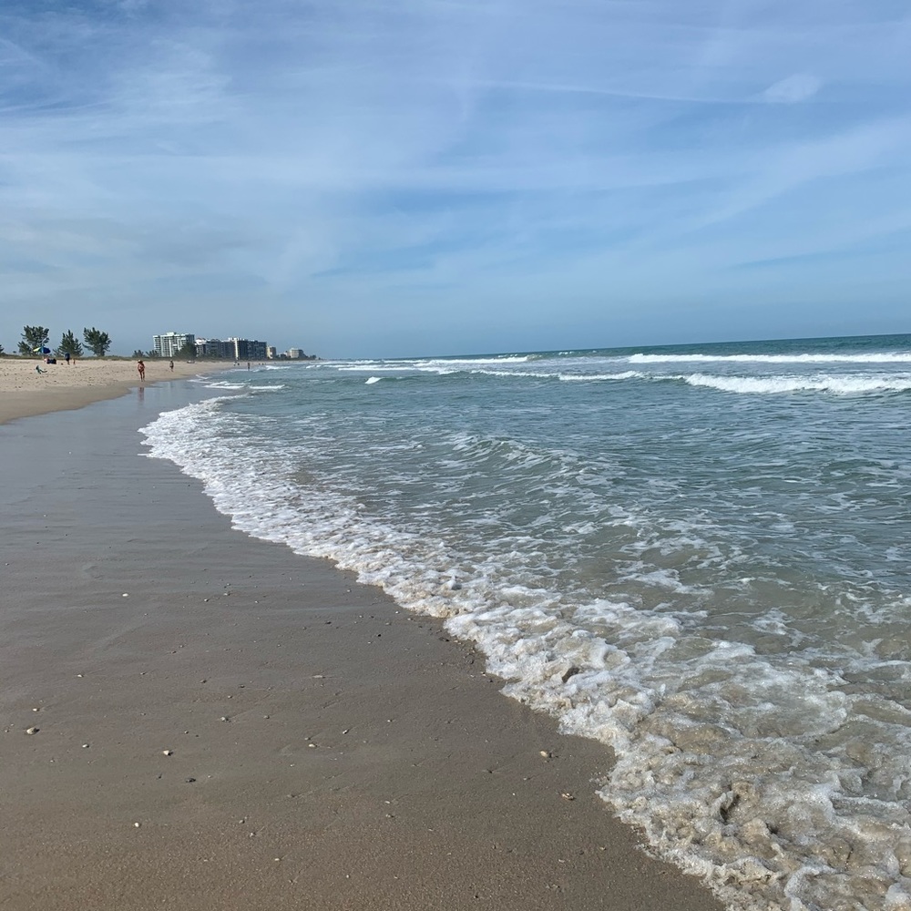 Meet your Posher, Ann